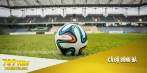 ca-do-bong-da
